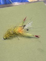 IMG_6042.jpeg