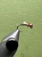 IMG_6043.jpeg