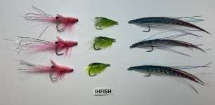IMG_1552.jpeg