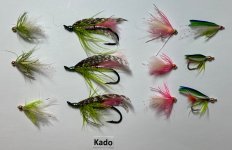 IMG_1554.jpeg
