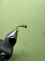 IMG_6045.jpeg