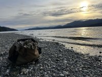 IMG_6265.jpeg