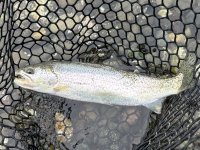 IMG_6285.jpeg