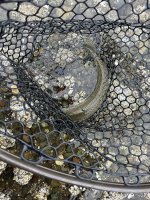 IMG_6286.jpeg