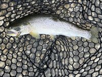 IMG_6336.jpeg