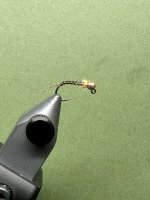 IMG_6049.jpeg