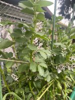 IMG_7177.jpeg