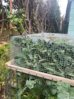 IMG_7175.jpeg