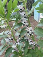 IMG_7176.jpeg