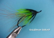 SUGERMAN SHRIMP.jpg