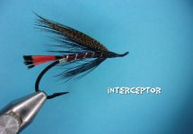 Interceptor.jpg