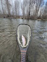 yakbow2.jpg yakbow2.jpg