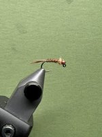 IMG_6052.jpeg