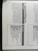 IMG_4025.jpeg