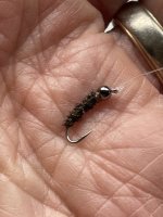 IMG_5327.jpeg