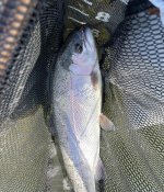 IMG_5324.jpeg