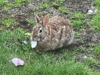 IMG_1663.jpeg