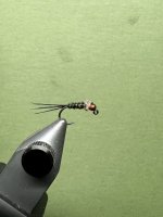 IMG_6056.jpeg