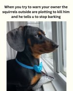 FB_IMG_1744304266410.jpg