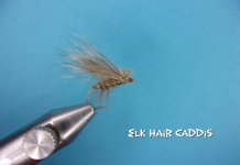 Elk Hair Caddis.jpg