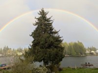 PXL_20250411_021601051.jpg