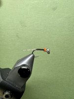IMG_6064.jpeg