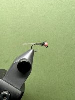 IMG_6067.jpeg