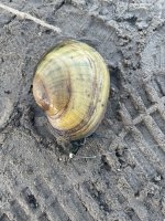 IMG_0569.jpeg