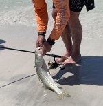 IMG_1868.jpeg IMG_1868.jpeg