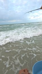 IMG_1870.jpeg IMG_1870.jpeg