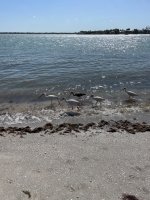 IMG_1755.jpeg IMG_1755.jpeg
