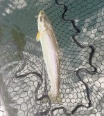 IMG_0558.jpeg