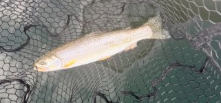 IMG_0557.jpeg