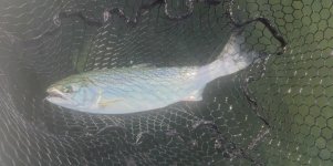 IMG_0555.jpeg