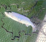 IMG_0553.jpeg