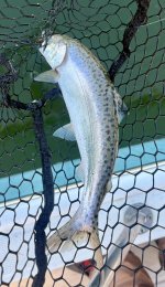 IMG_0550.jpeg