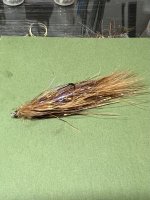 IMG_6070.jpeg