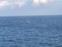 IMG_2436.jpeg