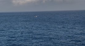 IMG_2506.jpeg