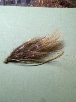 IMG_6074.jpeg