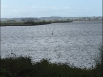 IMG_8449.jpeg