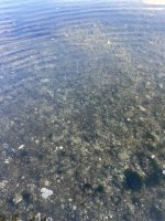 IMG_6422.jpeg