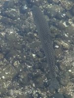 IMG_6423.jpeg