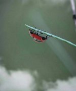 IMG_1695.jpeg IMG_1695.jpeg