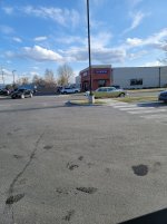 20250408_181302.jpg
