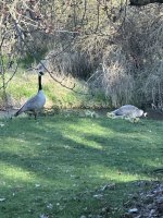 IMG_4259.jpeg