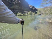 IMG_5060.jpeg