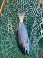 IMG_1807.jpeg