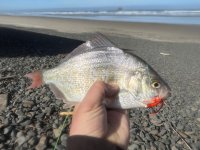 IMG_3786.jpeg
