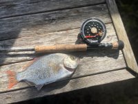 IMG_3788.jpeg